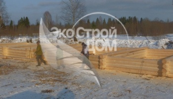 Срубы из Косттромы недорого