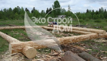 Строительство из бревен большого диаметра