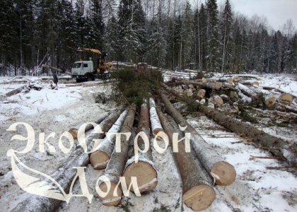 Подтаскивание леса трелевочником