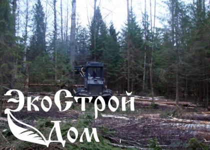 Заготовка при помощи спецтехники