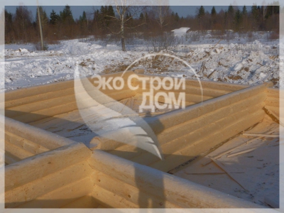 Зимние срубы из Костромы