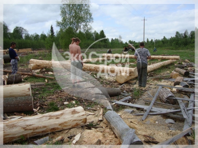 Начало строительства сруба из Костромы